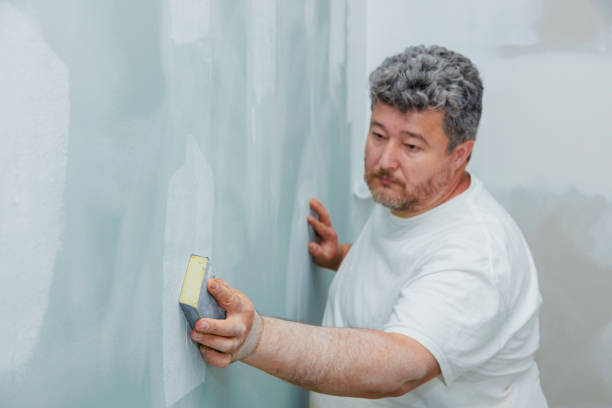 Best Mold Odor Removal Services  in Jefferson, GA