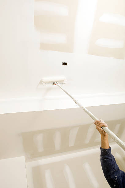 Best Mold Damage Restoration  in Jefferson, GA